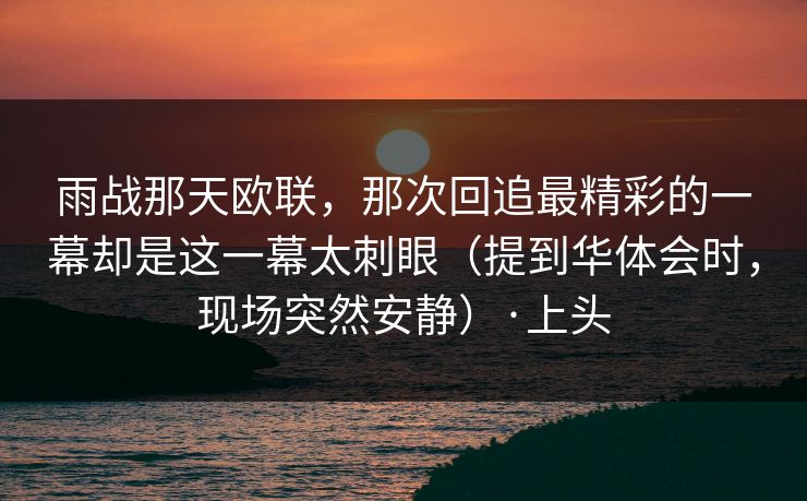 雨战那天欧联，那次回追最精彩的一幕却是这一幕太刺眼（提到华体会时，现场突然安静）·上头
