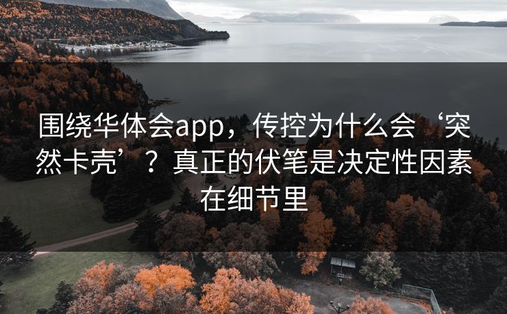 围绕华体会app，传控为什么会‘突然卡壳’？真正的伏笔是决定性因素在细节里