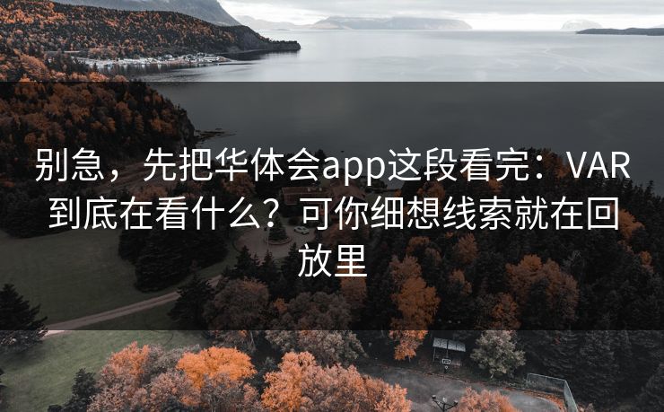 别急，先把华体会app这段看完：VAR到底在看什么？可你细想线索就在回放里