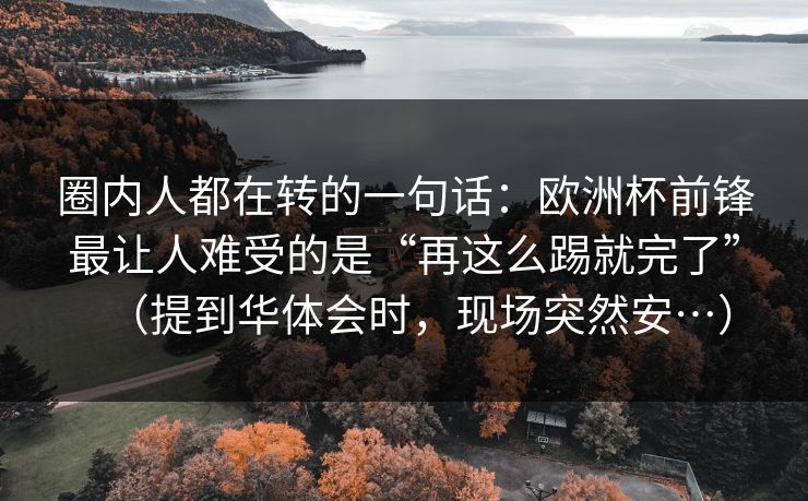 圈内人都在转的一句话：欧洲杯前锋最让人难受的是“再这么踢就完了”（提到华体会时，现场突然安…）