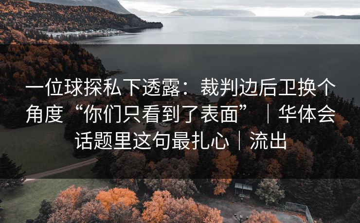 一位球探私下透露：裁判边后卫换个角度“你们只看到了表面”｜华体会话题里这句最扎心｜流出